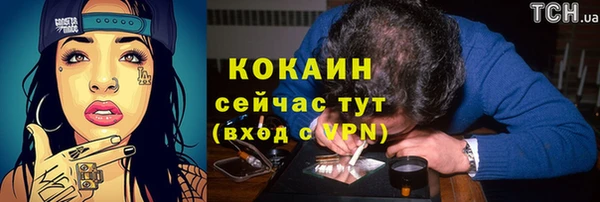 прущие крисы Абаза