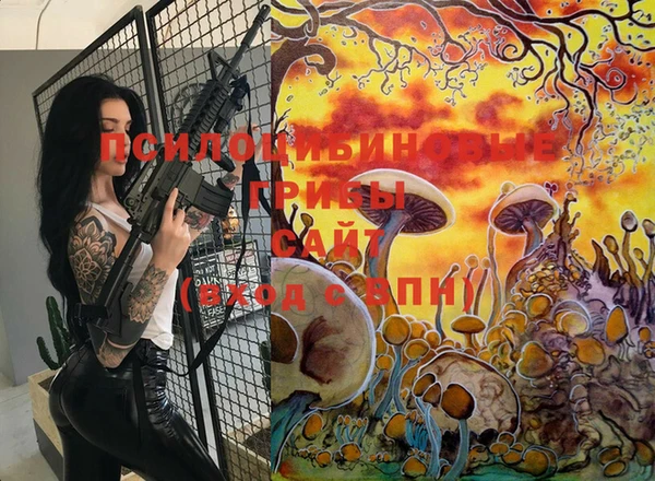 прущие крисы Абаза